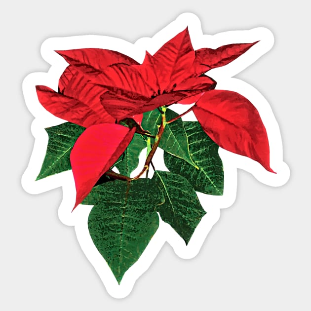 Three Christmas Poinsettias Sticker by SusanSavad